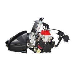 Rotax 125 Mini Max Evo