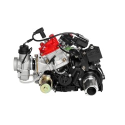 Rotax 125 MAX DD2 Evo